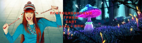 мдпв Баксан
